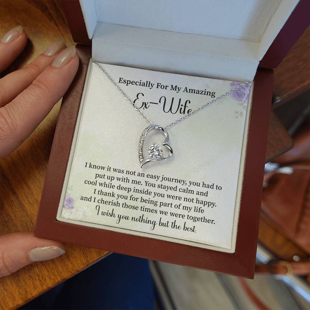 Especially For My Amazing Ex-wife Necklace Gift.