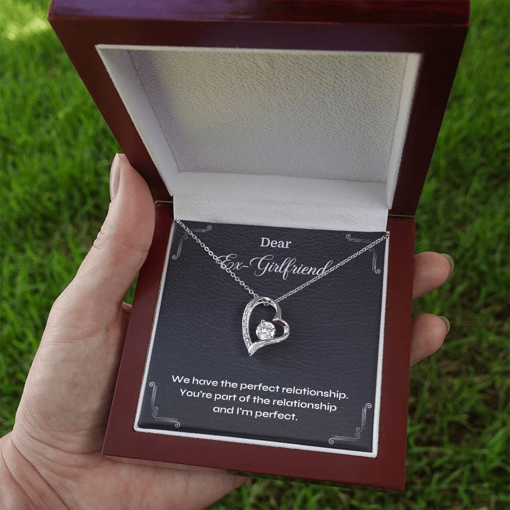 Funny Ex-Girlfriend Gift – Perfect Relationship Joke