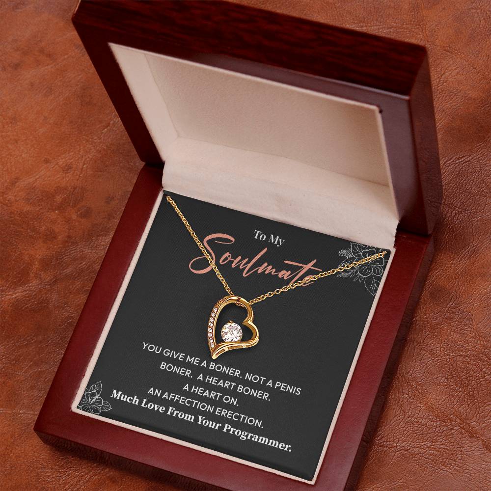 Funny Soulmate Necklace Gift from Programmer – Gift Box