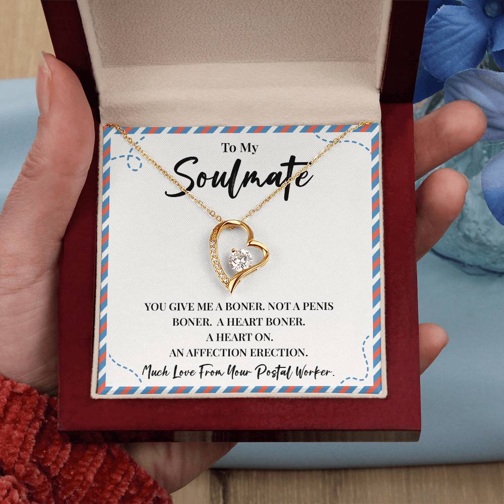 Funny Soulmate Necklace Gift from Postal Worker – Gift Box