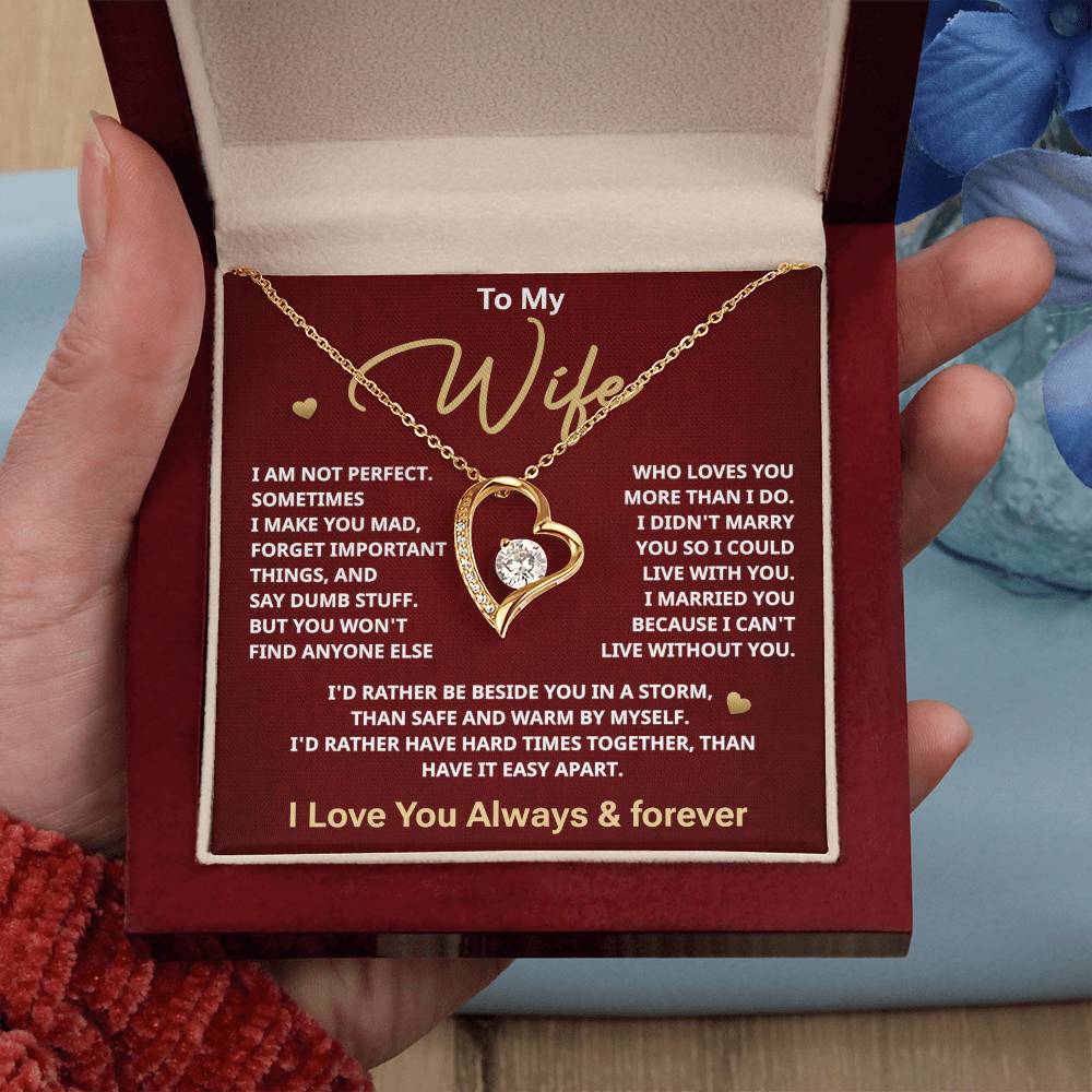 To my Wife
