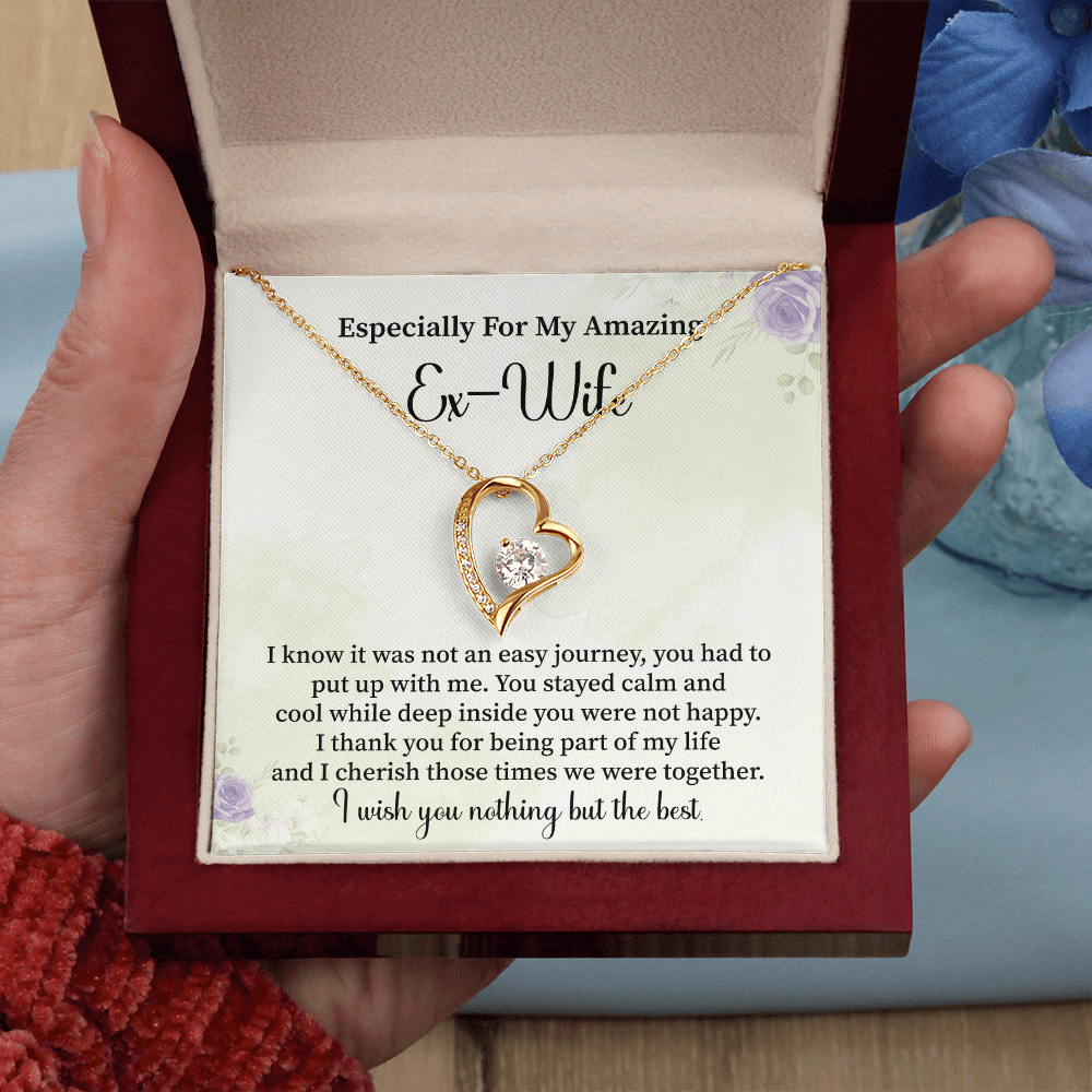 Especially For My Amazing Ex-wife Necklace Gift.