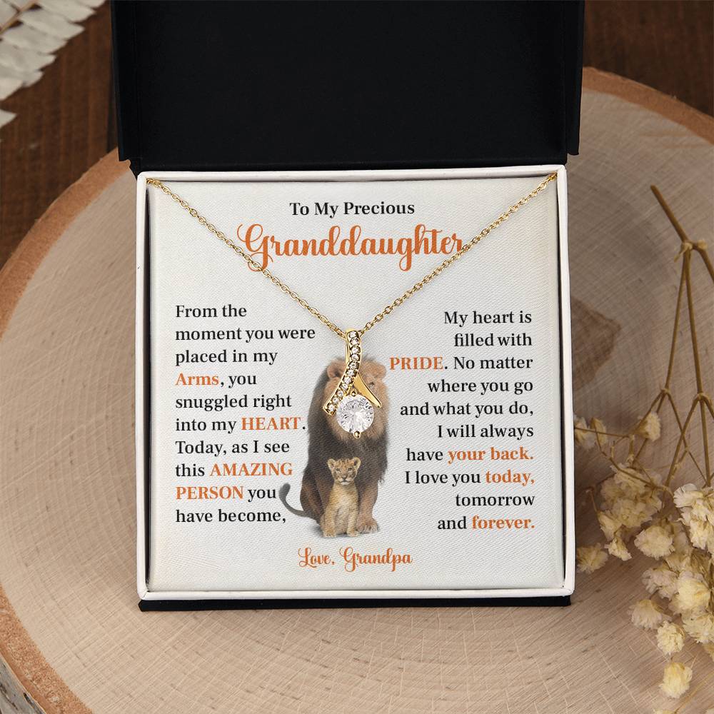 To my precious granddaughter Gift from Grandpa