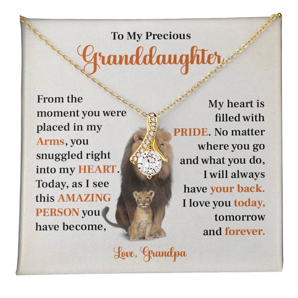 To my precious granddaughter Gift from Grandpa