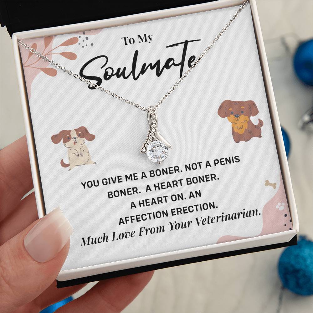 Funny Gift for Girlfriend from Vet Soulmate Necklace