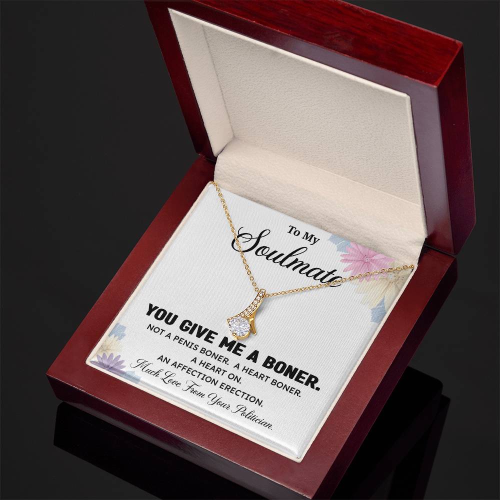 Funny Soulmate Necklace Gift from Politician – Gift Box