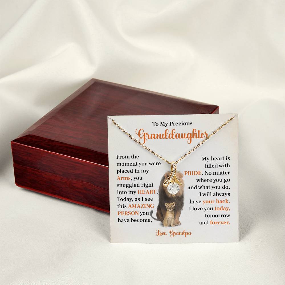 To my precious granddaughter Gift from Grandpa