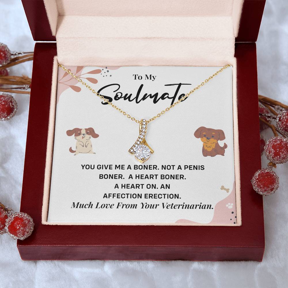 Funny Gift for Girlfriend from Vet Soulmate Necklace