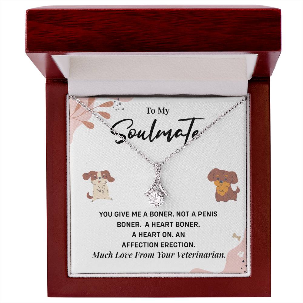 Funny Gift for Girlfriend from Vet Soulmate Necklace