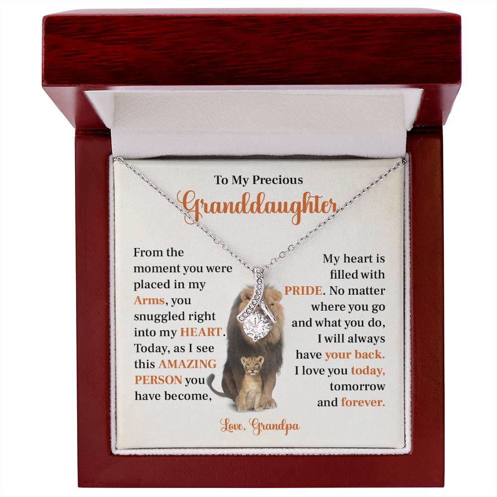 To my precious granddaughter Gift from Grandpa