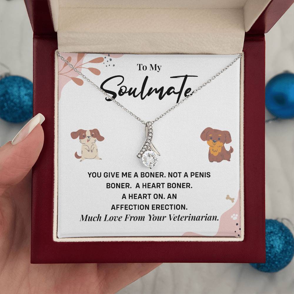 Funny Gift for Girlfriend from Vet Soulmate Necklace