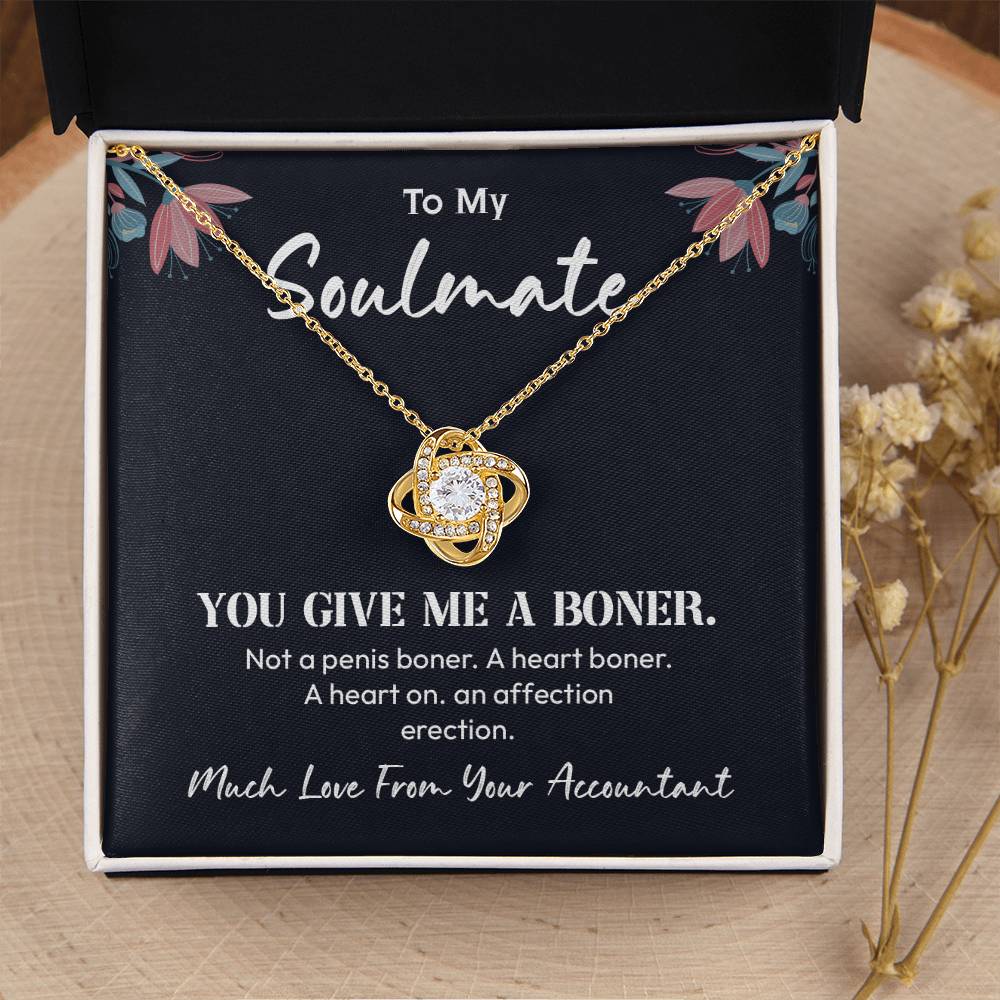 Funny Soulmate Necklace Gift – From Accountant
