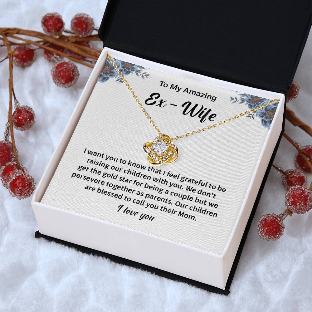 Gift for Ex-Wife from Ex-Husband with Message Card