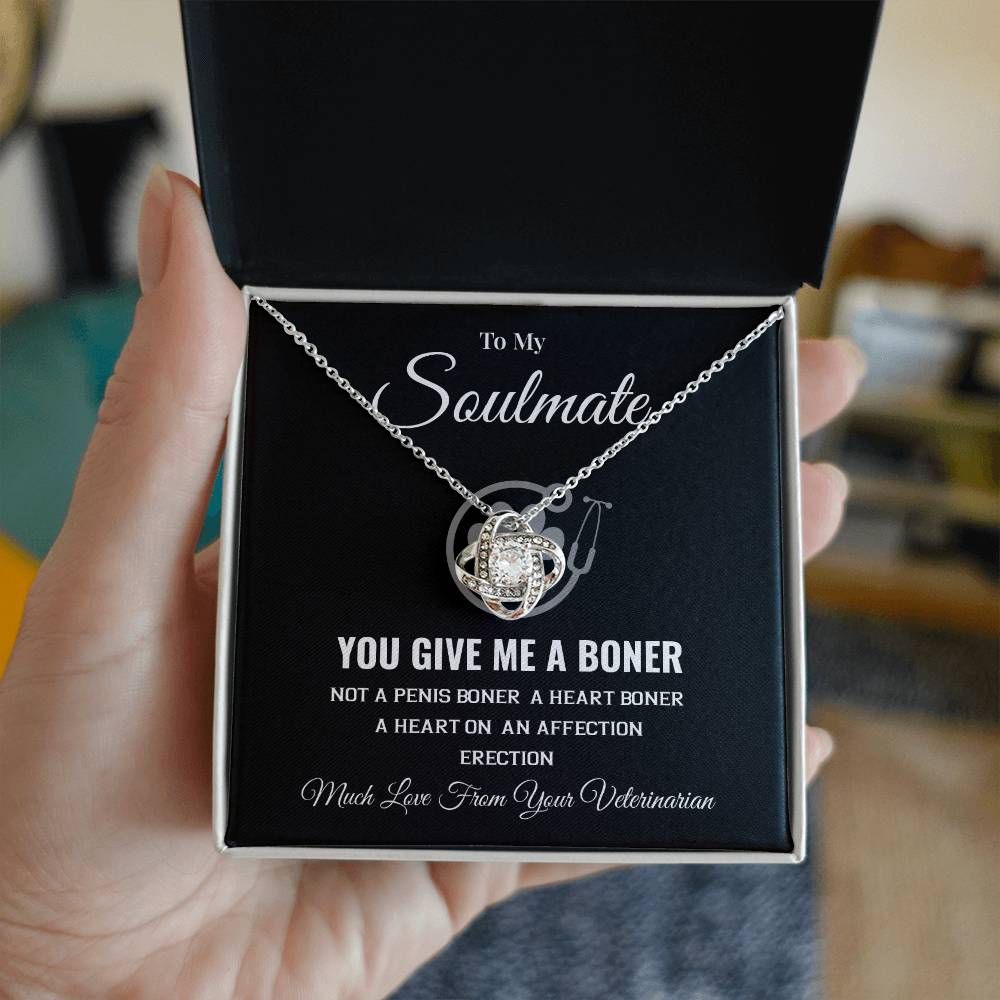 Funny Soulmate Necklace from Veterinarian Bold Romantic Gift for Her