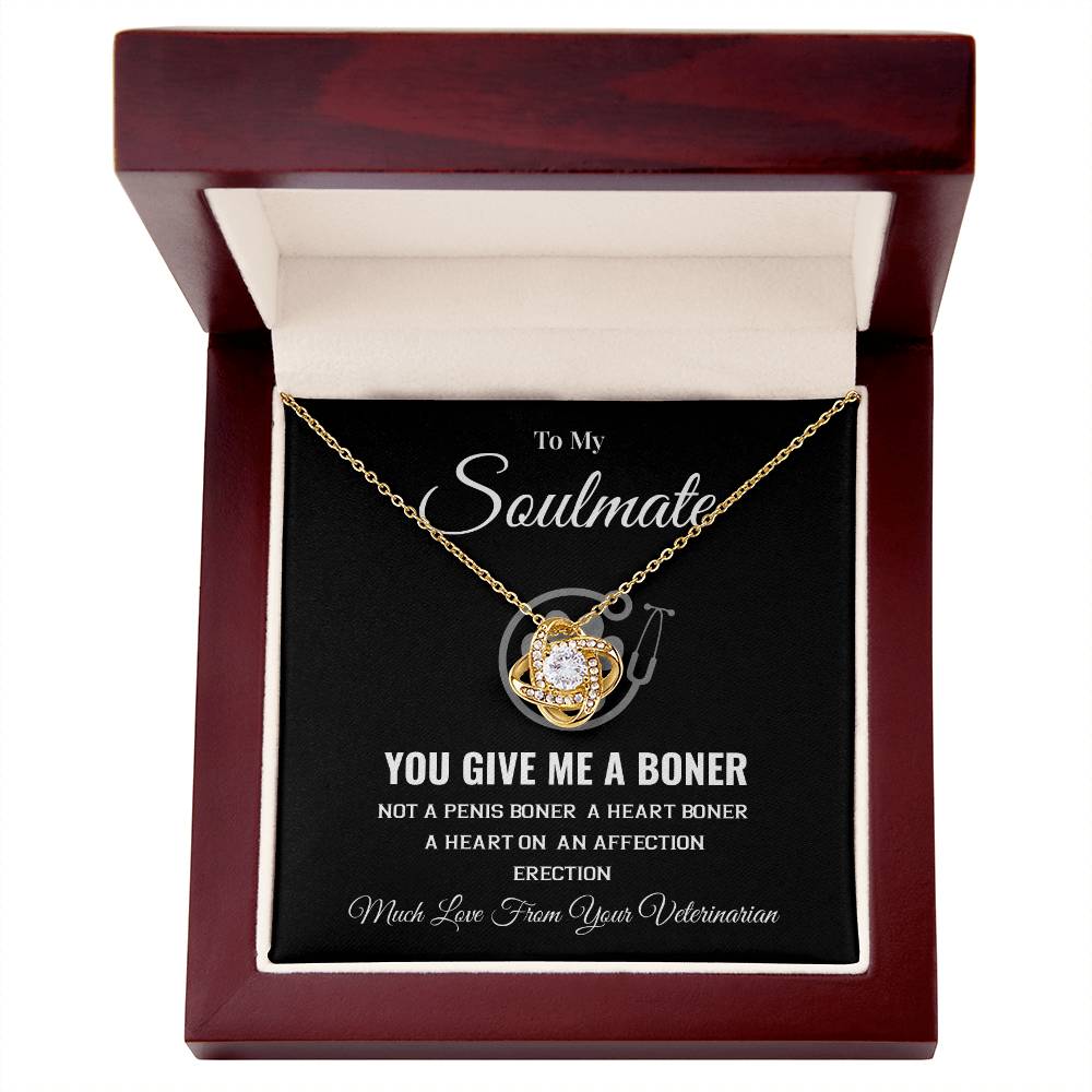 Funny Soulmate Necklace from Veterinarian Bold Romantic Gift for Her