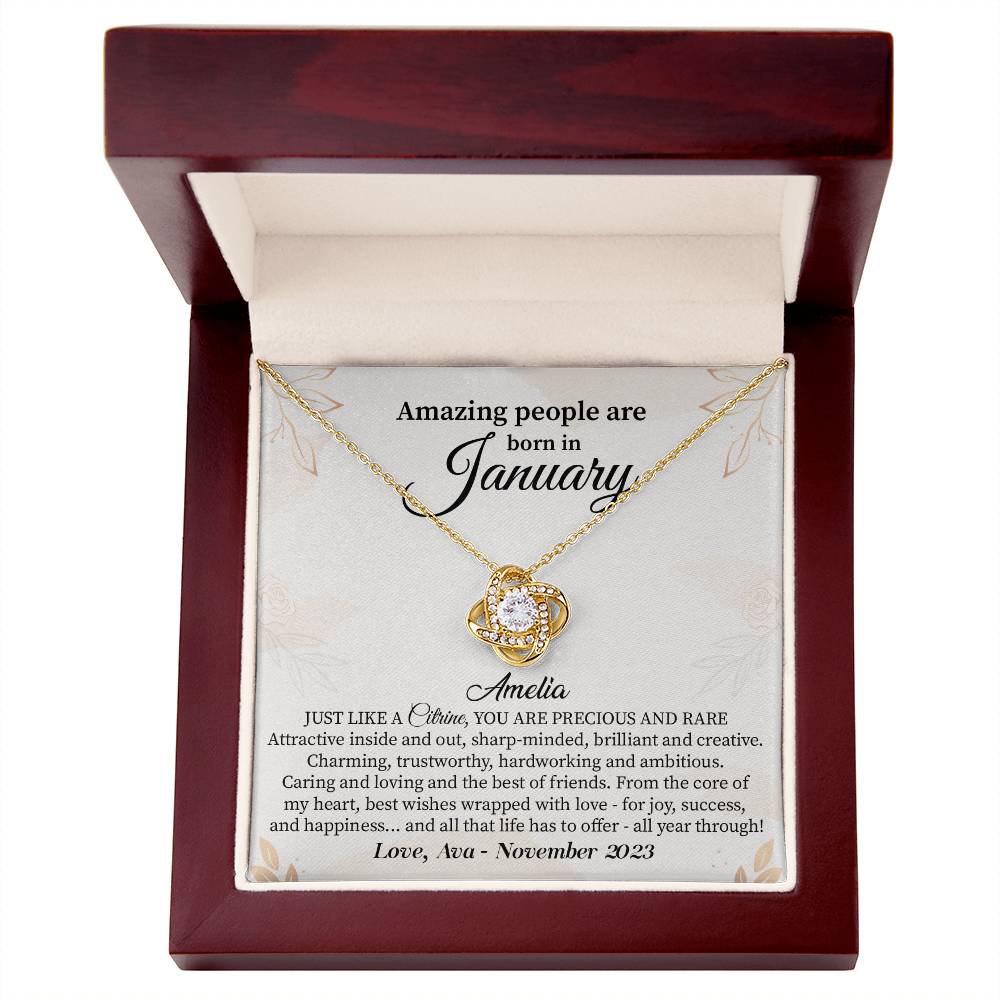 January Birthday Necklace Gift for Her – Elegant Boxed Jewelry
