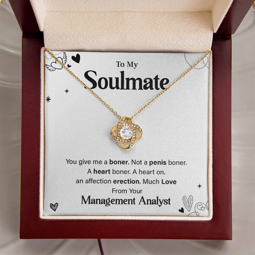 Funny Gift for Soulmate from Management Analyst