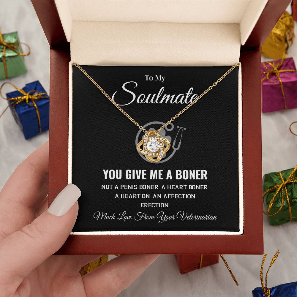 Funny Soulmate Necklace from Veterinarian Bold Romantic Gift for Her