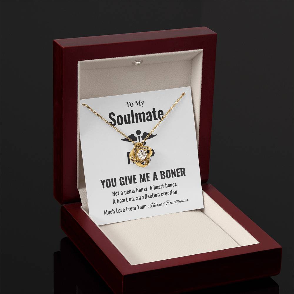 Funny Soulmate Gift Necklace from Nurse Practitioner