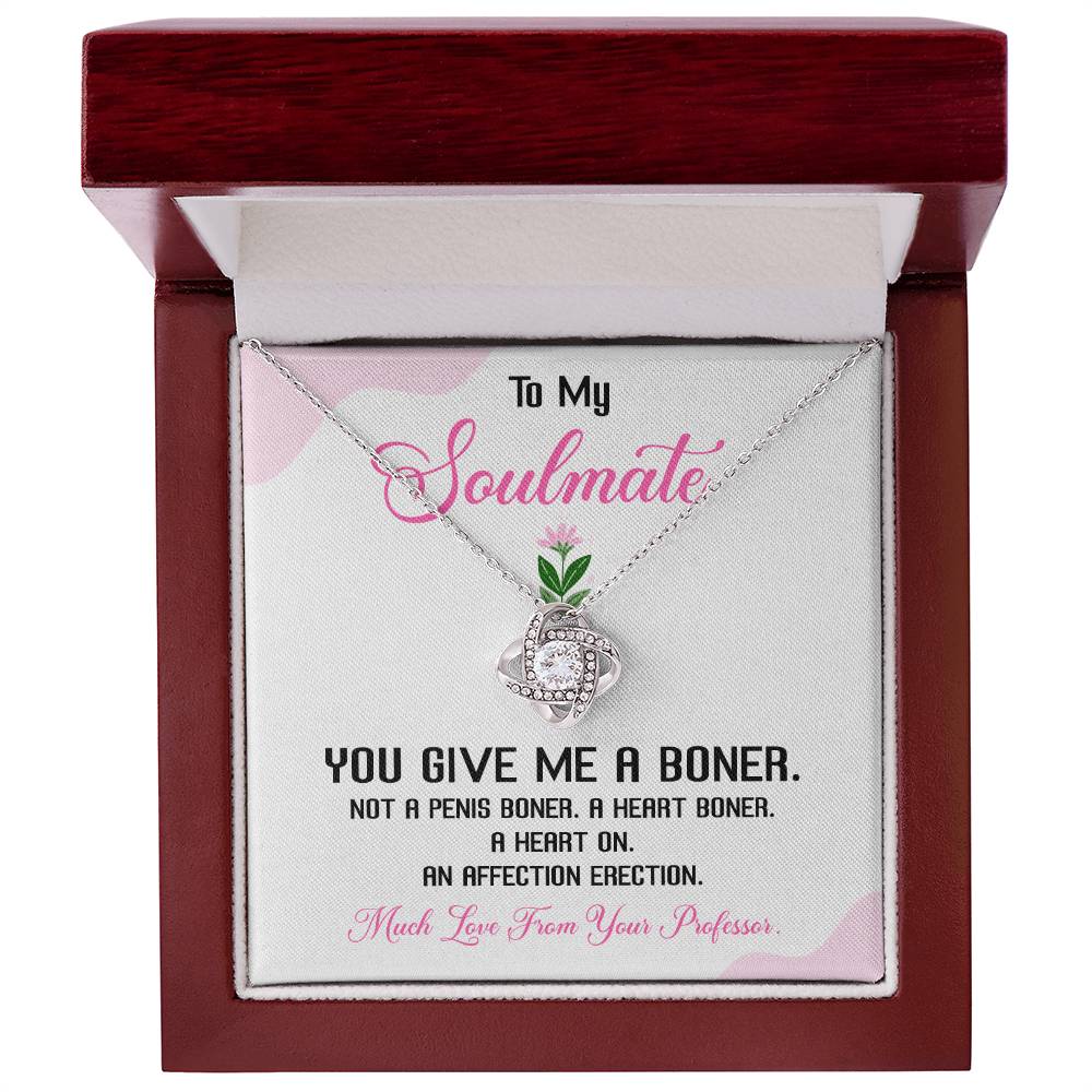 Funny Soulmate Necklace Gift from Professor