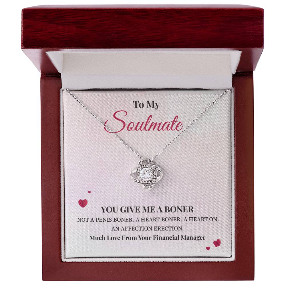 Funny Gift for Soulmate Necklace from Financial Manager
