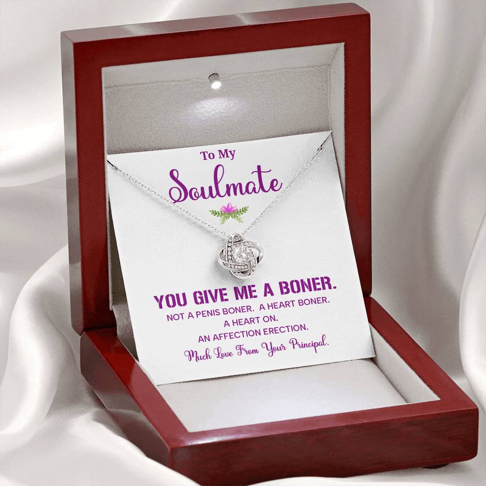 Funny Soulmate Necklace Gift from Principal