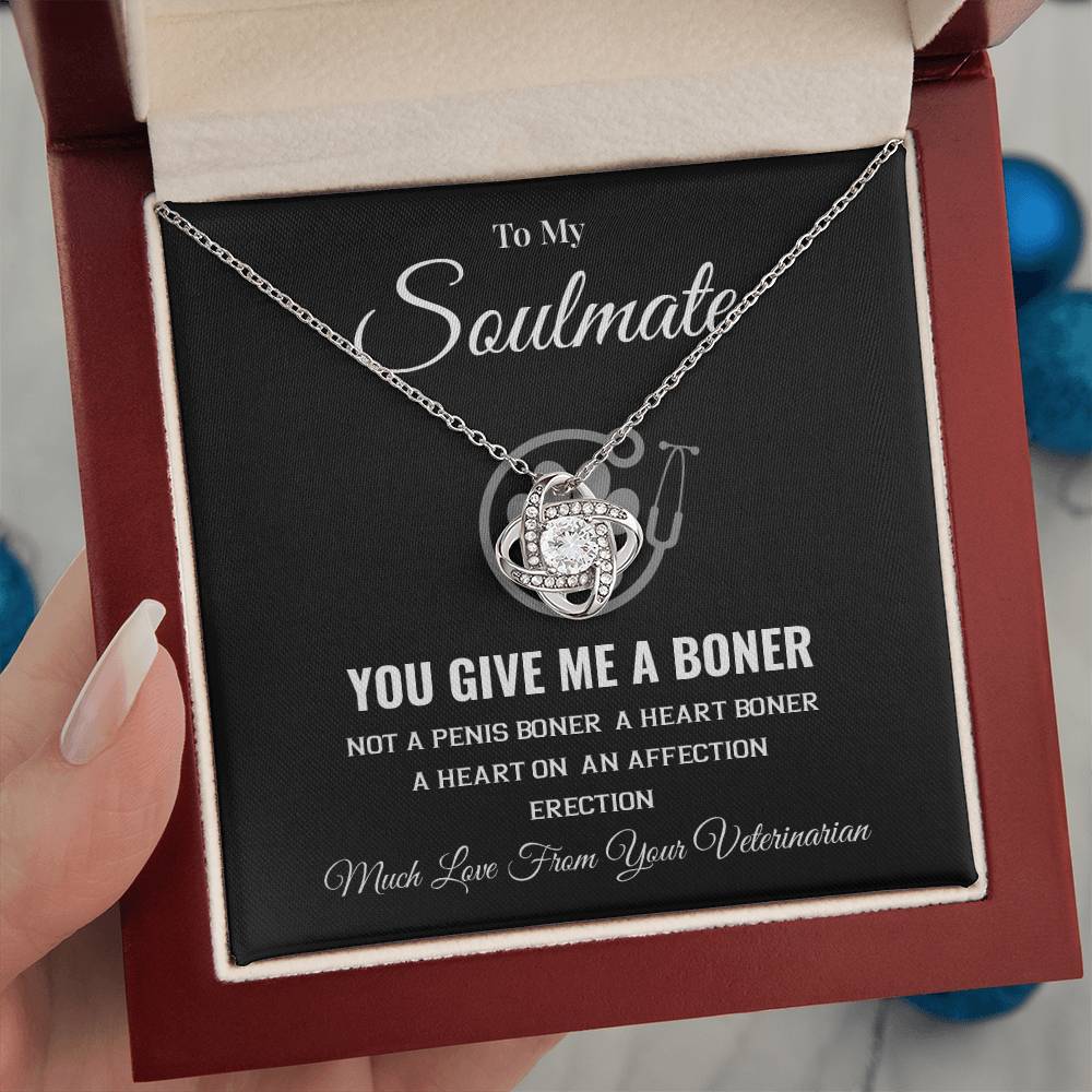 Funny Soulmate Necklace from Veterinarian Bold Romantic Gift for Her