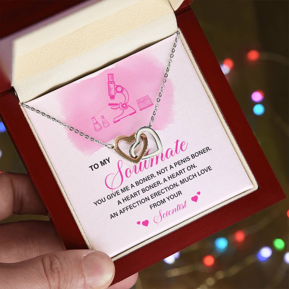 Funny Soulmate Necklace Gift from Scientist – Gift Box