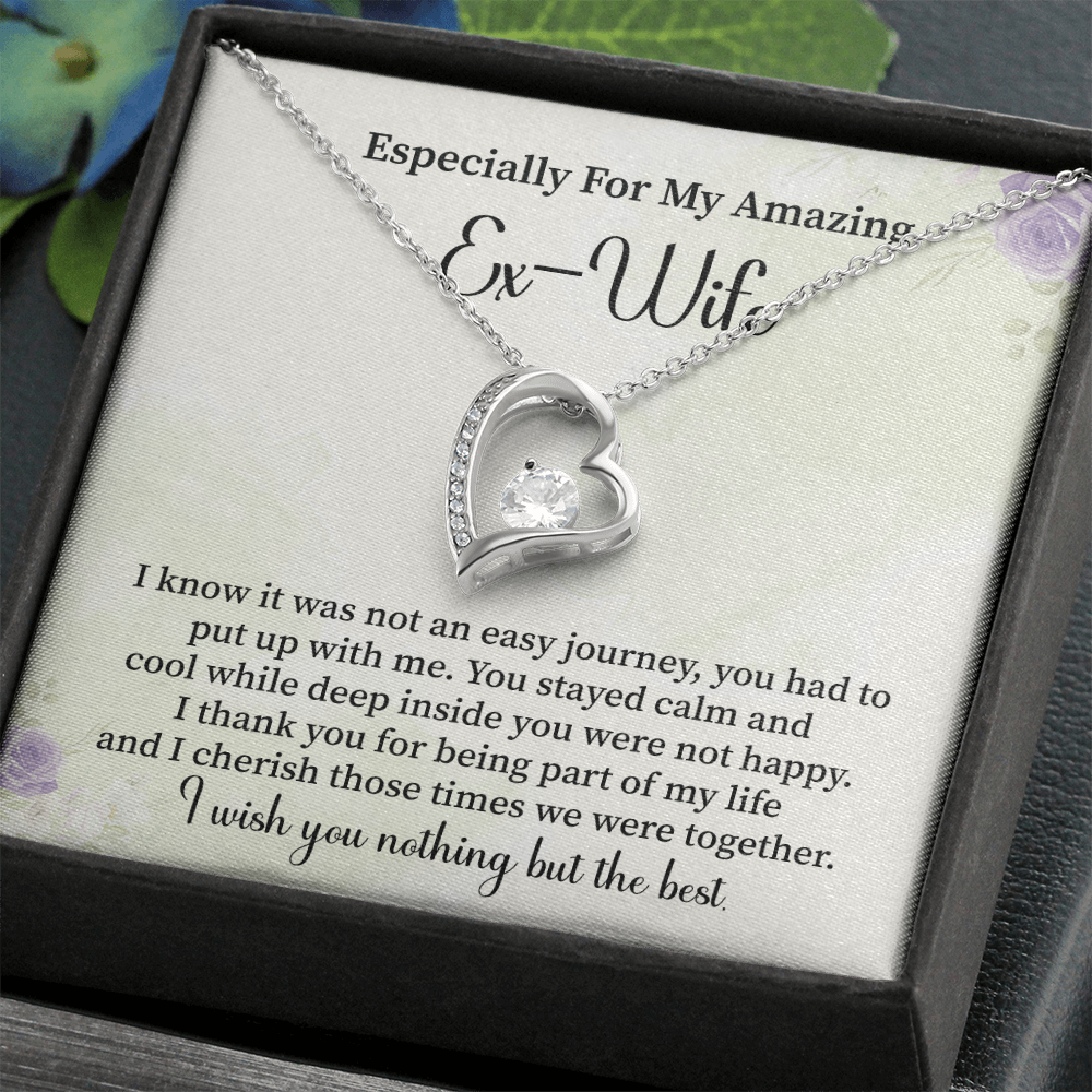 Especially For My Amazing Ex-wife Necklace Gift.