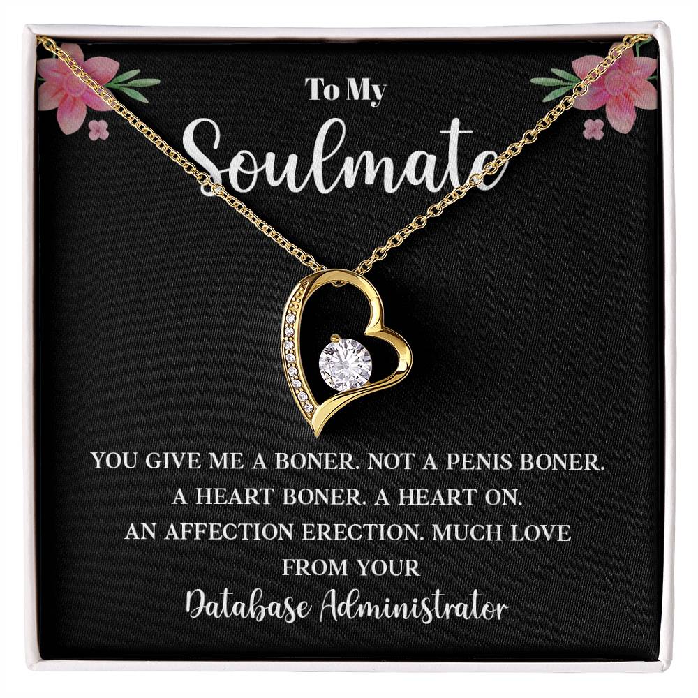 Funny Necklace Gift from Database Administrator