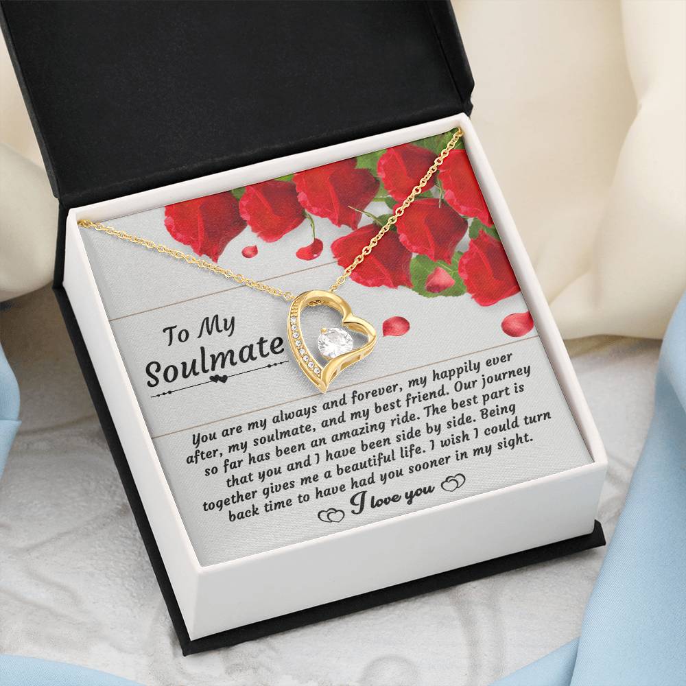 Soulmate Necklace Gift for Her with Message Card