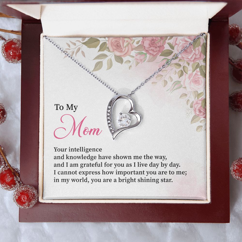 To My Mom I Can't Express How Important You Are To Me