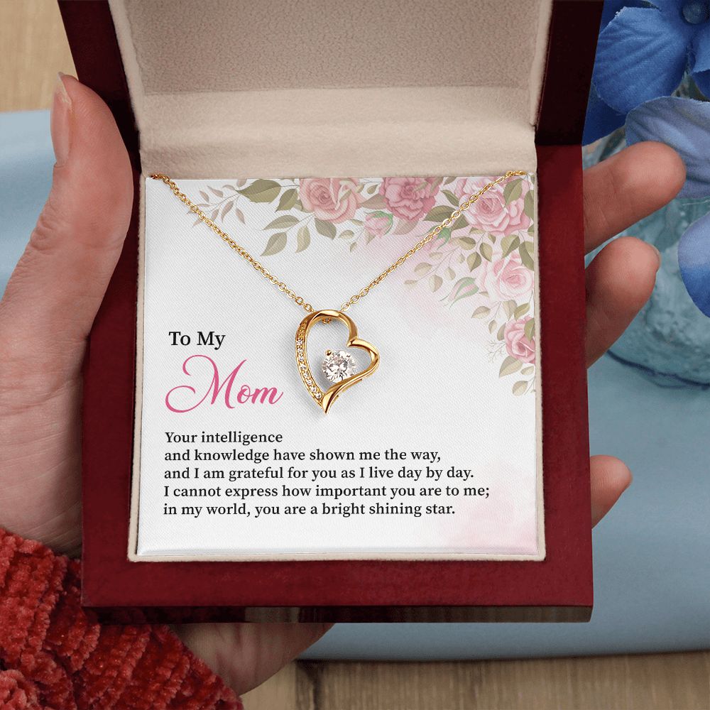 To My Mom I Can't Express How Important You Are To Me