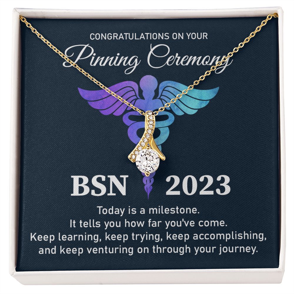 Bachelor's of Science in Nursing (BSN) - 2023