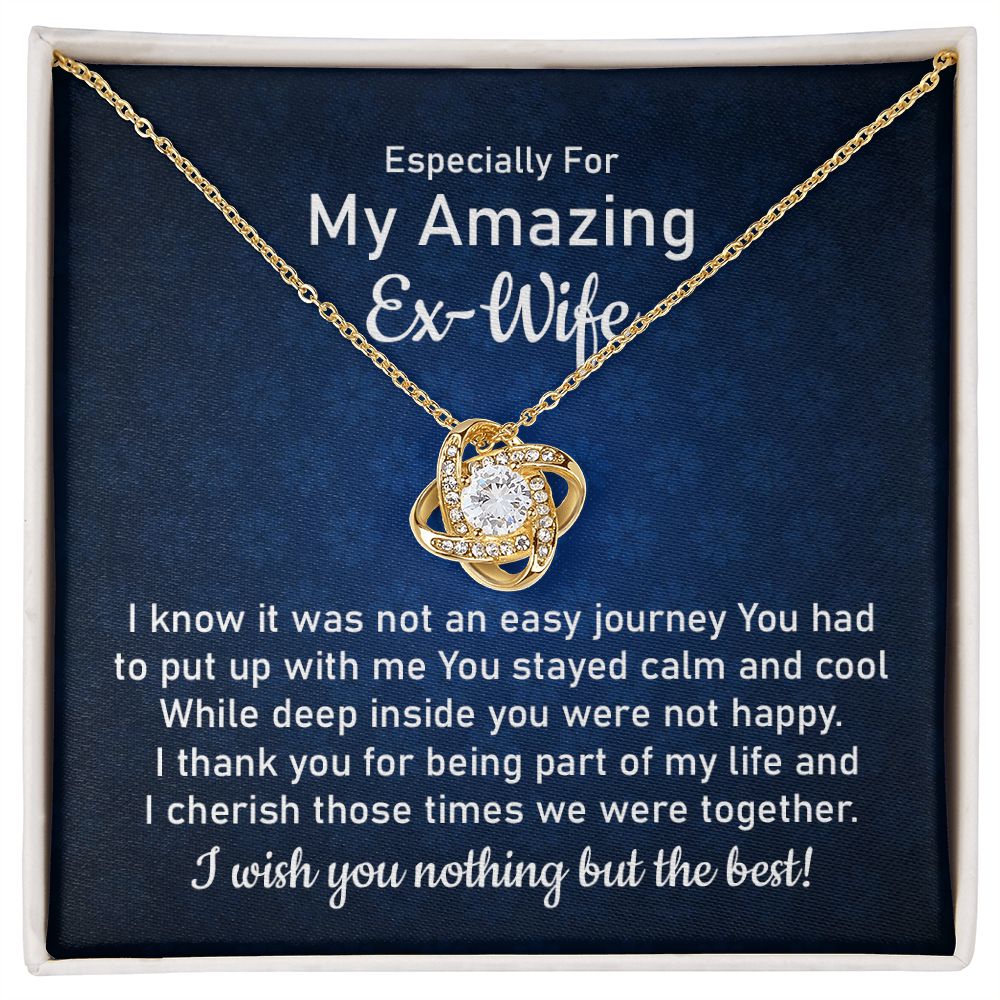 Especially For My Amazing Ex-Wife From Husband Eternal Bond of Friendship: Timeless Silver Necklace for a Cherished Ex-Wife