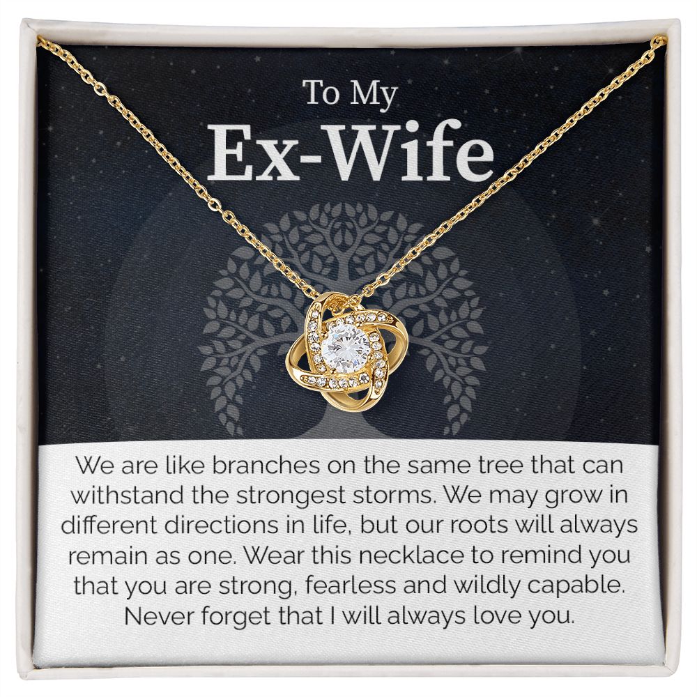To My Ex-Wife: Love Transcends Labels – From Your Former Husband