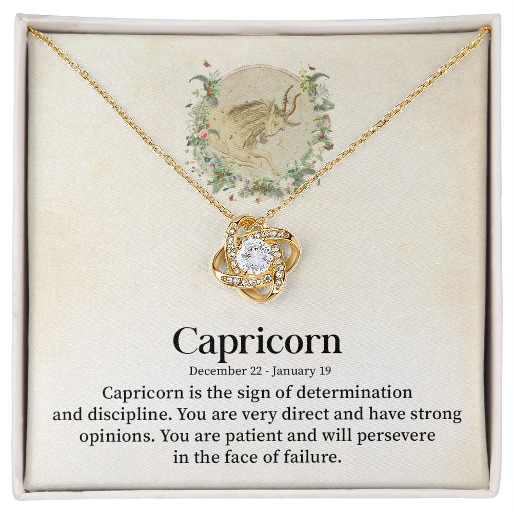 Capricorn December 22, January 19