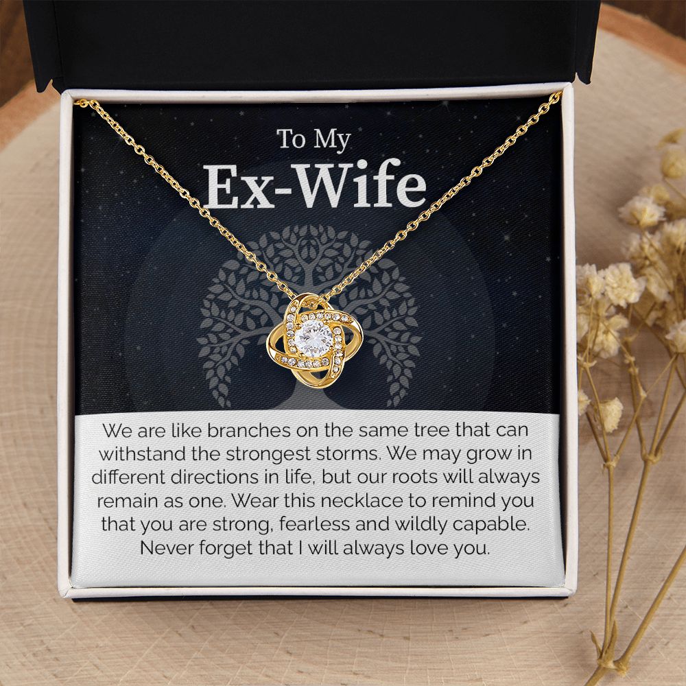To My Ex-Wife: Love Transcends Labels – From Your Former Husband