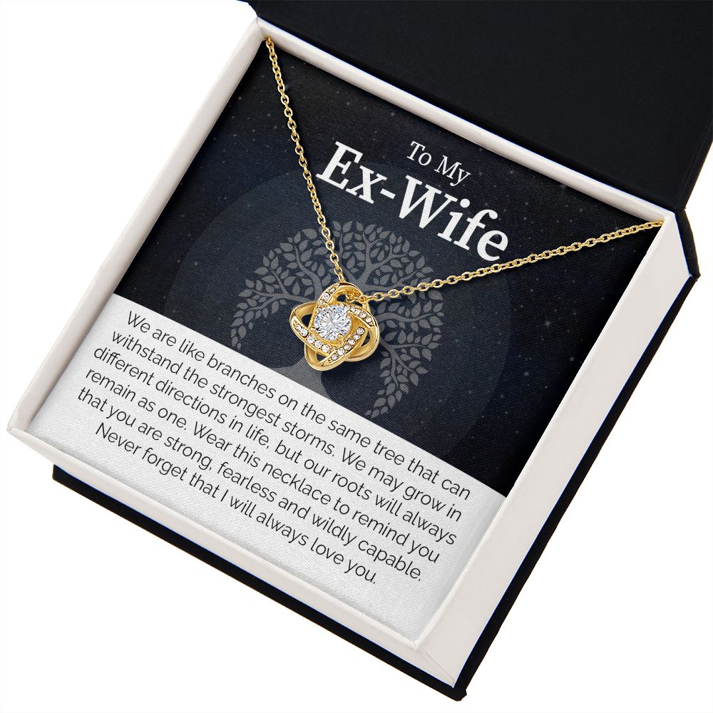 To My Ex-Wife: Love Transcends Labels – From Your Former Husband