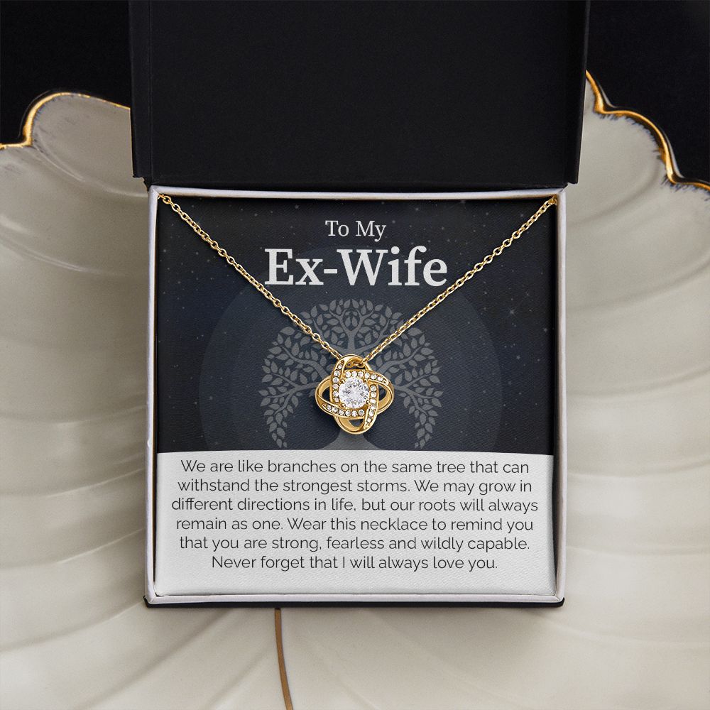 To My Ex-Wife: Love Transcends Labels – From Your Former Husband
