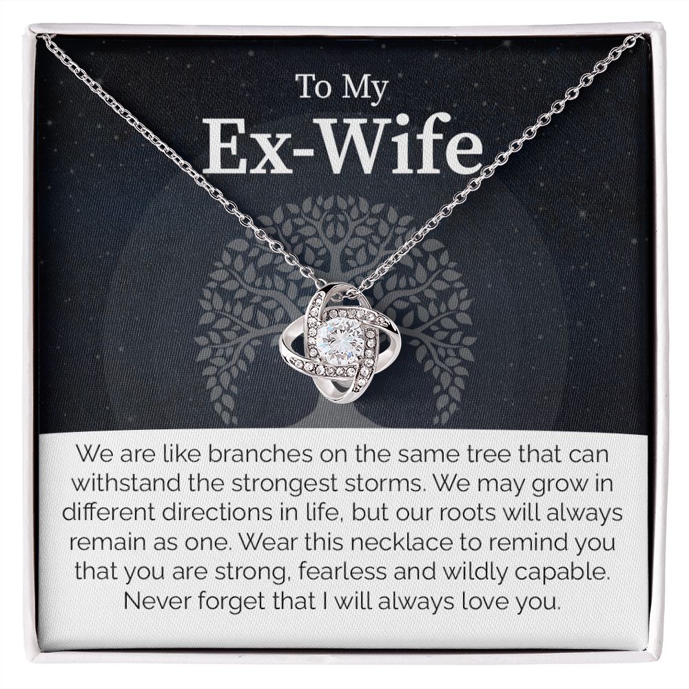 To My Ex-Wife: Love Transcends Labels – From Your Former Husband