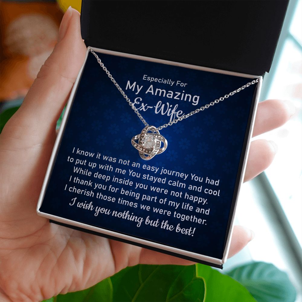 Especially For My Amazing Ex-Wife From Husband Eternal Bond of Friendship: Timeless Silver Necklace for a Cherished Ex-Wife