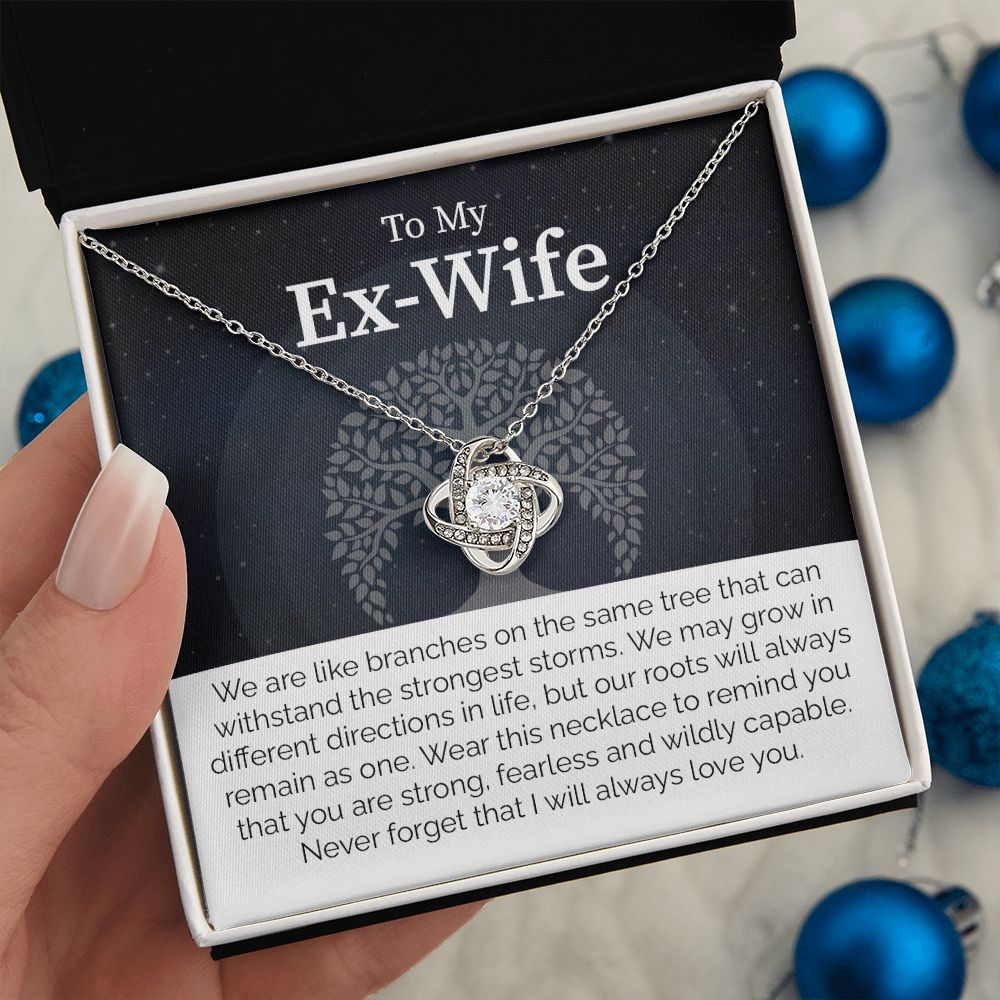 To My Ex-Wife: Love Transcends Labels – From Your Former Husband