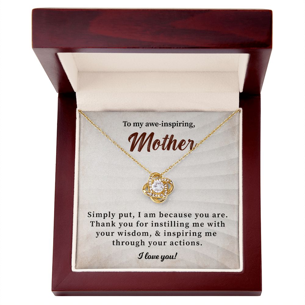 To My Awe-Inspiring mother Simply Put, I Am Because You Are. I Love You