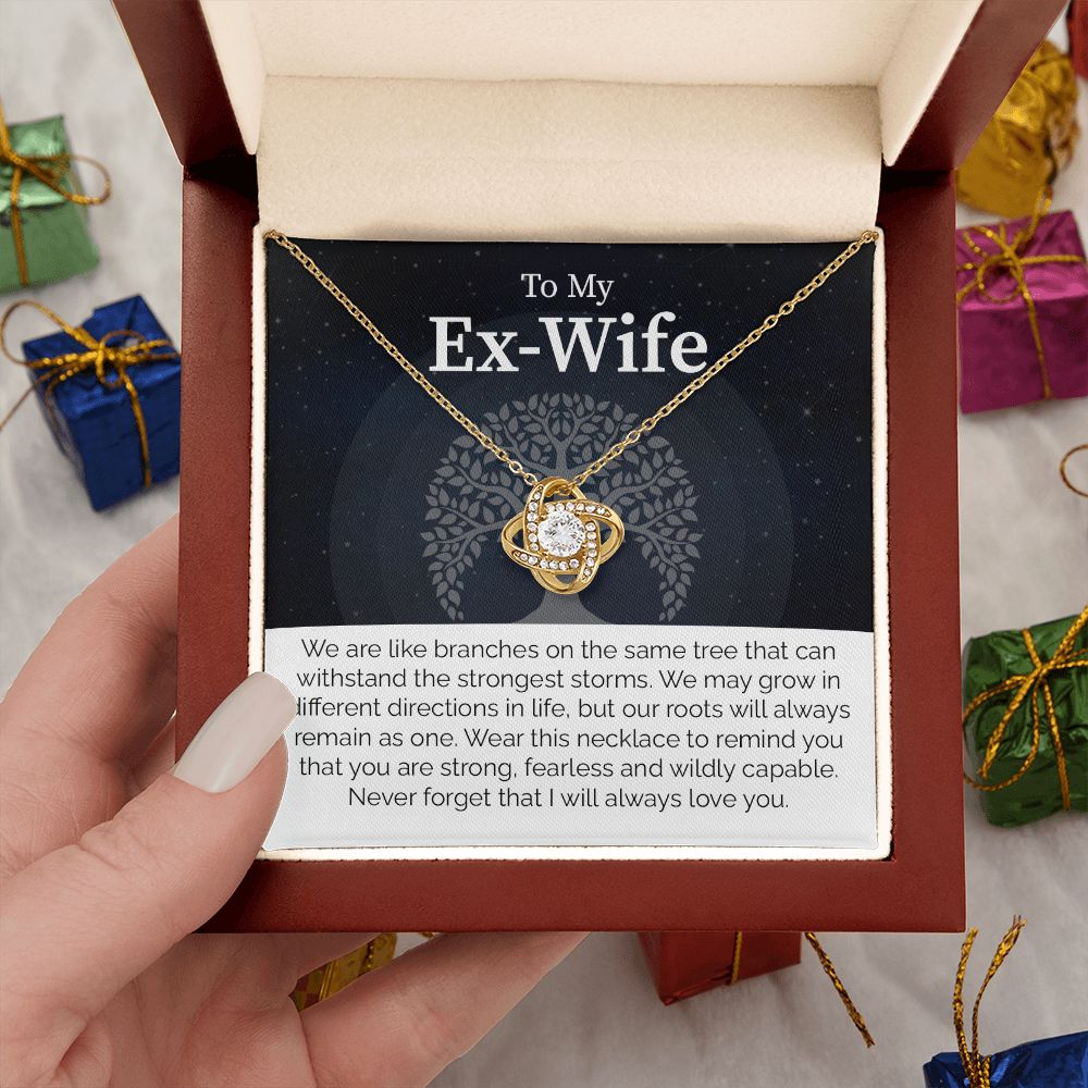 To My Ex-Wife: Love Transcends Labels – From Your Former Husband