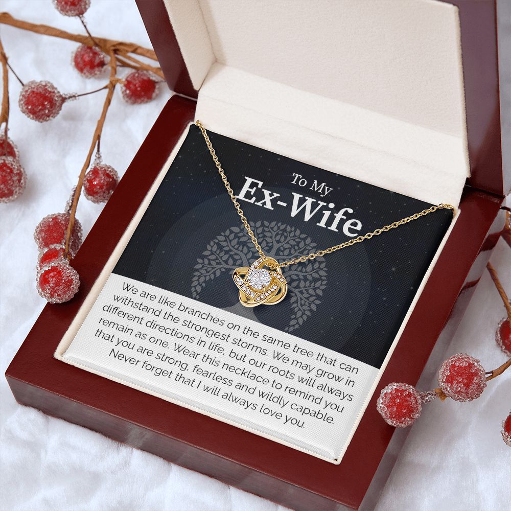 To My Ex-Wife: Love Transcends Labels – From Your Former Husband