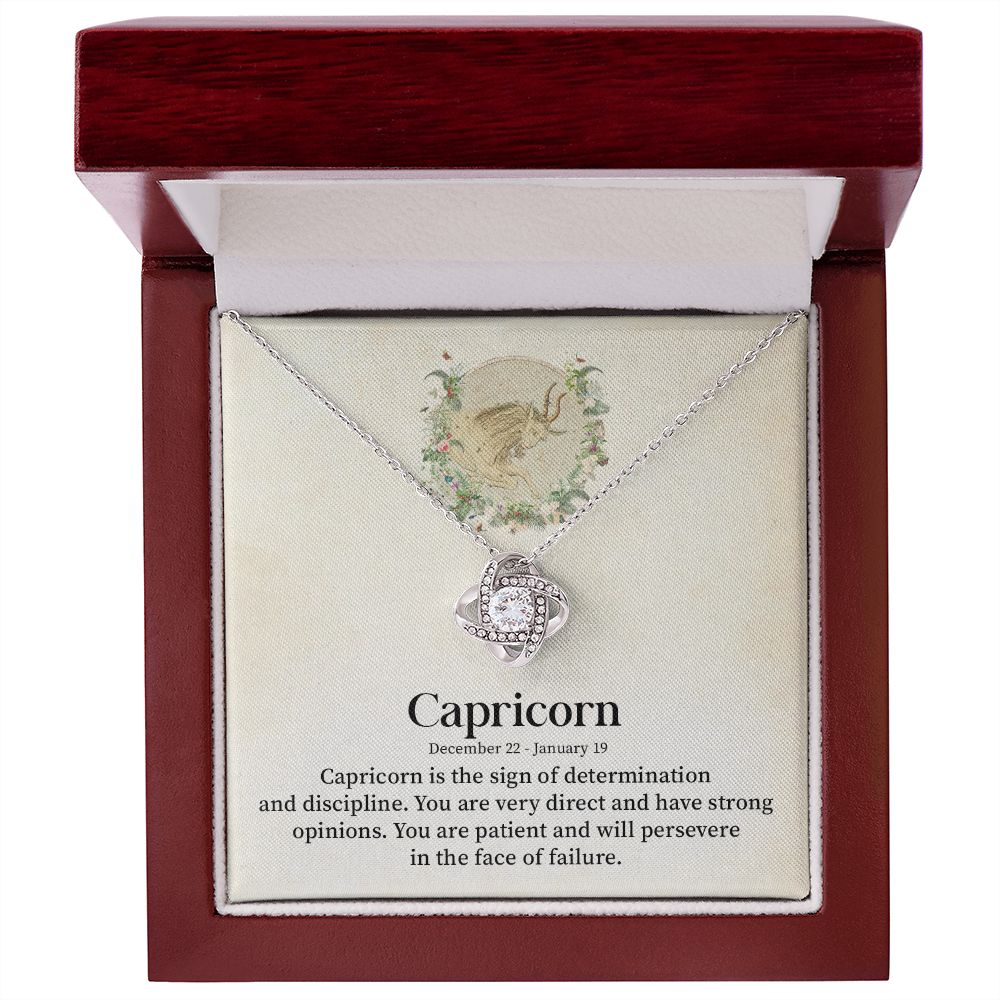 Capricorn December 22, January 19