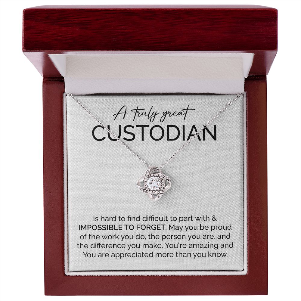 A Truly Great Custodian You're Amazing And You Are Appreciated More Than You Know