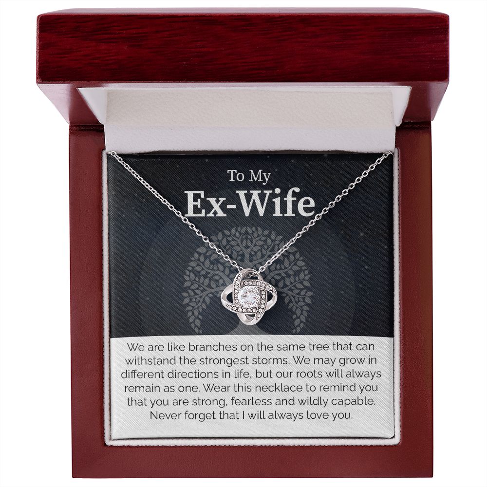 To My Ex-Wife: Love Transcends Labels – From Your Former Husband