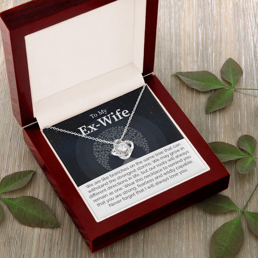 To My Ex-Wife: Love Transcends Labels – From Your Former Husband